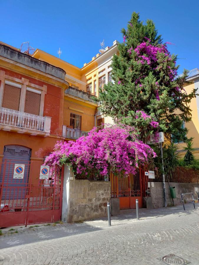 B&B Il Vialetto กาสเตลลัมมาเร ดิ สตาเบีย ภายนอก รูปภาพ