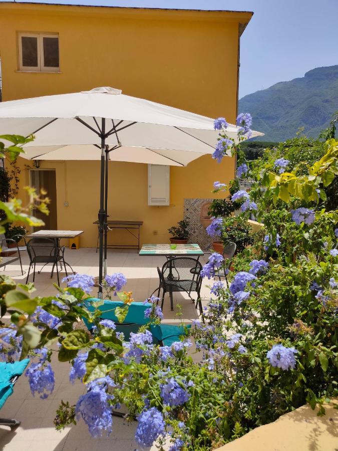 B&B Il Vialetto กาสเตลลัมมาเร ดิ สตาเบีย ภายนอก รูปภาพ